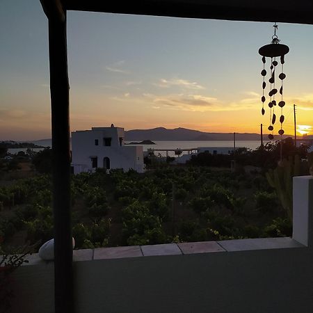 فندق Matina'S Vineyard ميكري فيغلا الغرفة الصورة