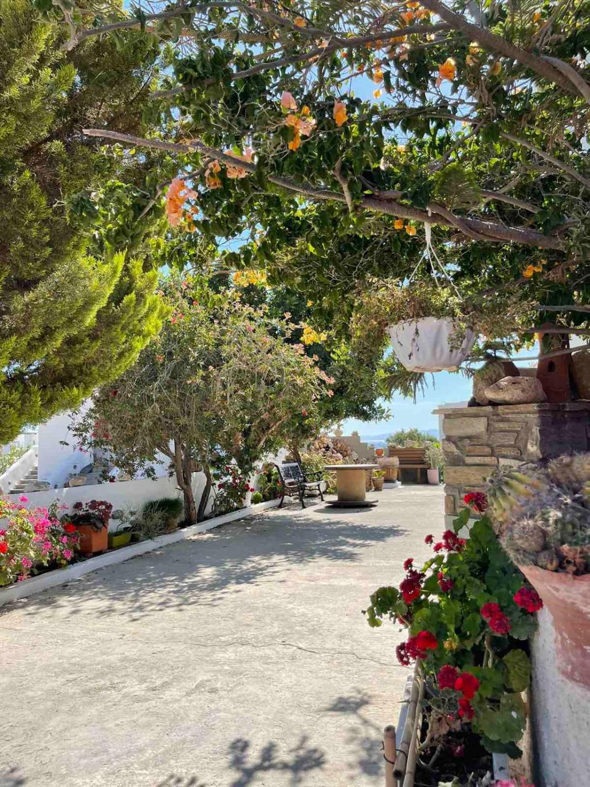 فندق Matina'S Vineyard ميكري فيغلا المظهر الخارجي الصورة