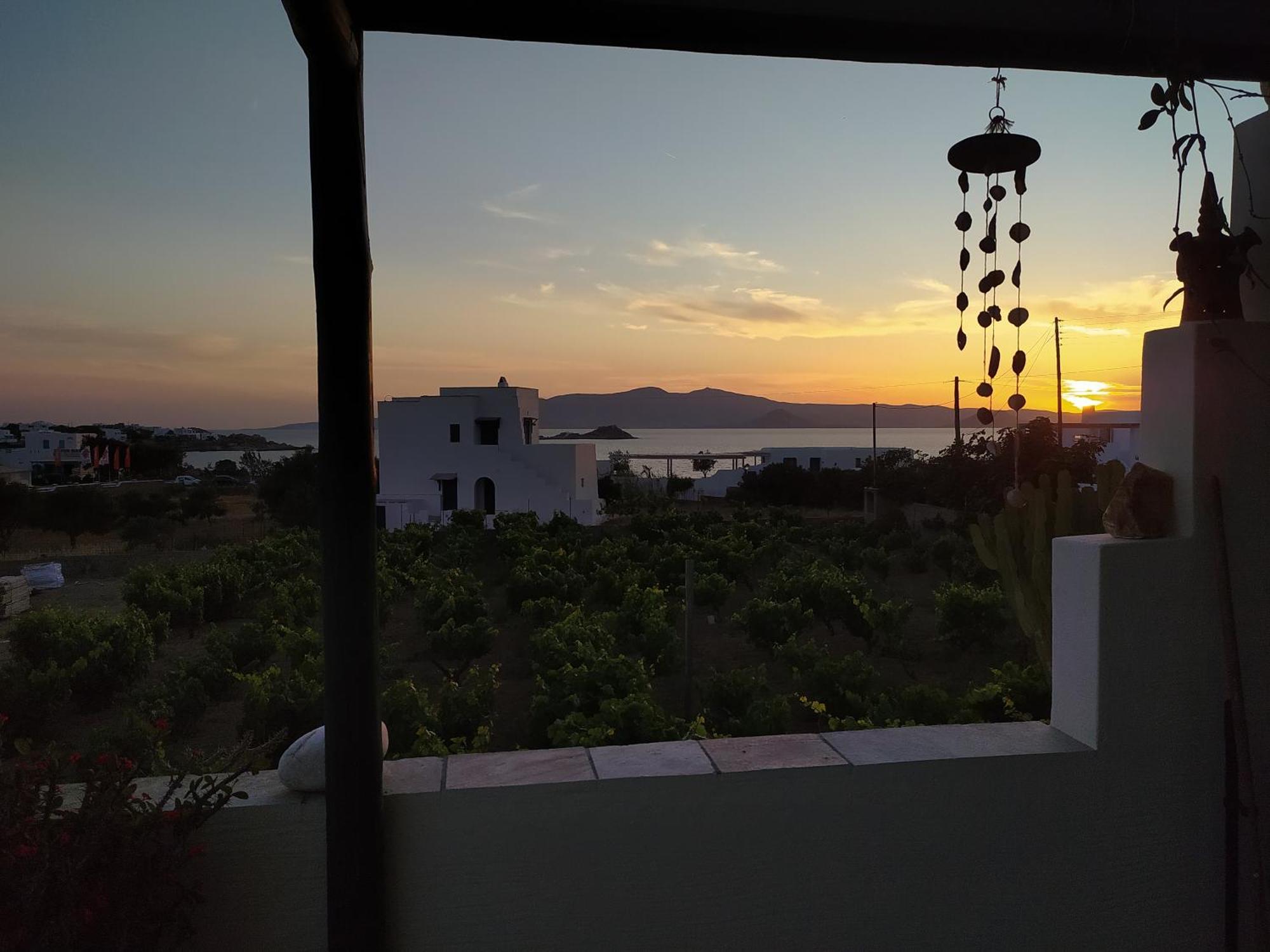 فندق Matina'S Vineyard ميكري فيغلا الغرفة الصورة